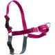 PetSafe, Easy Walk Dog Harness, The Ultimate No Pull Harness for Walks, Take Control and Teach Better Leash Behavior Small, Petrol/Grey