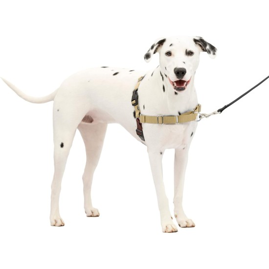 PetSafe, Easy Walk Dog Harness, The Ultimate No Pull Harness for Walks, Take Control and Teach Better Leash Behavior Small, Petrol/Grey PetSafe, Easy Walk Dog Harness, The Ultimate No Pull Harness for Walks, Take Control and Teach Better Leash Behavior Small, Petrol/Grey