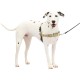 PetSafe, Easy Walk Dog Harness, The Ultimate No Pull Harness for Walks, Take Control and Teach Better Leash Behavior Small, Petrol/Grey