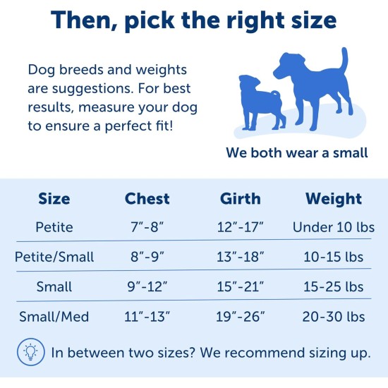 PetSafe, Easy Walk Dog Harness, The Ultimate No Pull Harness for Walks, Take Control and Teach Better Leash Behavior Small, Petrol/Grey PetSafe, Easy Walk Dog Harness, The Ultimate No Pull Harness for Walks, Take Control and Teach Better Leash Behavior Small, Petrol/Grey