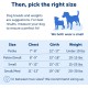 PetSafe, Easy Walk Dog Harness, The Ultimate No Pull Harness for Walks, Take Control and Teach Better Leash Behavior Small, Petrol/Grey