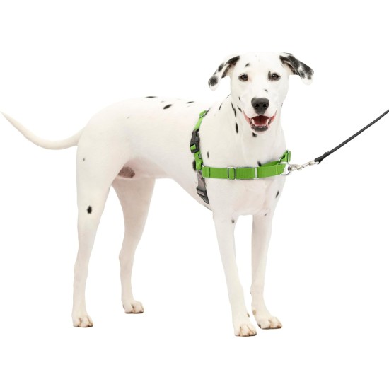 PetSafe, Easy Walk Dog Harness, The Ultimate No Pull Harness for Walks, Take Control and Teach Better Leash Behavior Small, Petrol/Grey PetSafe, Easy Walk Dog Harness, The Ultimate No Pull Harness for Walks, Take Control and Teach Better Leash Behavior Small, Petrol/Grey