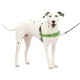 PetSafe, Easy Walk Dog Harness, The Ultimate No Pull Harness for Walks, Take Control and Teach Better Leash Behavior Small, Petrol/Grey