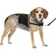 PetSafe, Easy Walk Dog Harness, The Ultimate No Pull Harness for Walks, Take Control and Teach Better Leash Behavior Small, Petrol/Grey