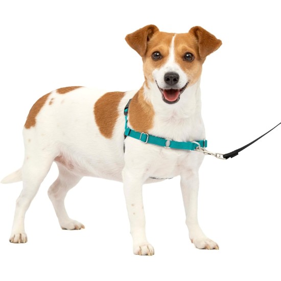 PetSafe, Easy Walk Dog Harness, The Ultimate No Pull Harness for Walks, Take Control and Teach Better Leash Behavior Small, Petrol/Grey