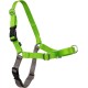 PetSafe, Easy Walk Dog Harness, The Ultimate No Pull Harness for Walks, Take Control and Teach Better Leash Behavior Small, Petrol/Grey