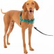 PetSafe, Easy Walk Dog Harness, The Ultimate No Pull Harness for Walks, Take Control and Teach Better Leash Behavior Small, Petrol/Grey