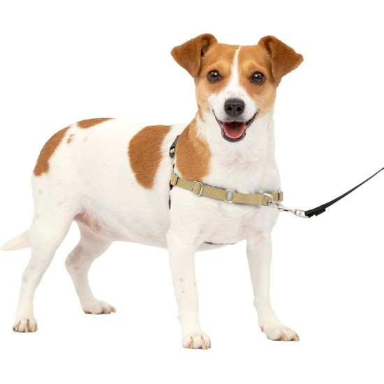 PetSafe, Easy Walk Dog Harness, The Ultimate No Pull Harness for Walks, Take Control and Teach Better Leash Behavior Small, Petrol/Grey PetSafe, Easy Walk Dog Harness, The Ultimate No Pull Harness for Walks, Take Control and Teach Better Leash Behavior Small, Petrol/Grey