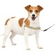 PetSafe, Easy Walk Dog Harness, The Ultimate No Pull Harness for Walks, Take Control and Teach Better Leash Behavior Small, Petrol/Grey