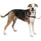 PetSafe, Easy Walk Dog Harness, The Ultimate No Pull Harness for Walks, Take Control and Teach Better Leash Behavior Small, Petrol/Grey