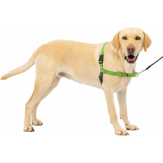 PetSafe, Easy Walk Dog Harness, The Ultimate No Pull Harness for Walks, Take Control and Teach Better Leash Behavior Small, Petrol/Grey PetSafe, Easy Walk Dog Harness, The Ultimate No Pull Harness for Walks, Take Control and Teach Better Leash Behavior Small, Petrol/Grey
