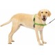 PetSafe, Easy Walk Dog Harness, The Ultimate No Pull Harness for Walks, Take Control and Teach Better Leash Behavior Small, Petrol/Grey