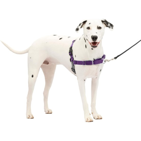 PetSafe, Easy Walk Dog Harness, The Ultimate No Pull Harness for Walks, Take Control and Teach Better Leash Behavior Small, Petrol/Grey PetSafe, Easy Walk Dog Harness, The Ultimate No Pull Harness for Walks, Take Control and Teach Better Leash Behavior Small, Petrol/Grey