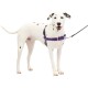 PetSafe, Easy Walk Dog Harness, The Ultimate No Pull Harness for Walks, Take Control and Teach Better Leash Behavior Small, Petrol/Grey