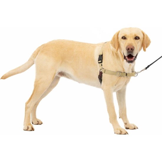 PetSafe, Easy Walk Dog Harness, The Ultimate No Pull Harness for Walks, Take Control and Teach Better Leash Behavior Small, Petrol/Grey PetSafe, Easy Walk Dog Harness, The Ultimate No Pull Harness for Walks, Take Control and Teach Better Leash Behavior Small, Petrol/Grey