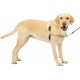 PetSafe, Easy Walk Dog Harness, The Ultimate No Pull Harness for Walks, Take Control and Teach Better Leash Behavior Small, Petrol/Grey
