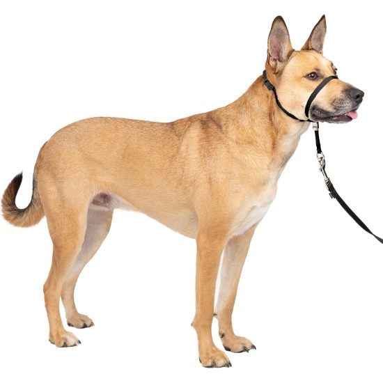 PetSafe, Easy Walk Headcollar, Black, Large, No Pull, Control, Training, for small / medium/ large dogs PetSafe, Easy Walk Headcollar, Black, Large, No Pull, Control, Training, for small / medium/ large dogs