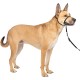 PetSafe, Easy Walk Headcollar, Black, Large, No Pull, Control, Training, for small / medium/ large dogs PetSafe, Easy Walk Headcollar, Black, Large, No Pull, Control, Training, for small / medium/ large dogs