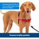 PetSafe, Easy Walk Headcollar, Black, Large, No Pull, Control, Training, for small / medium/ large dogs PetSafe, Easy Walk Headcollar, Black, Large, No Pull, Control, Training, for small / medium/ large dogs