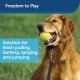 PetSafe, Easy Walk Headcollar, Black, Large, No Pull, Control, Training, for small / medium/ large dogs PetSafe, Easy Walk Headcollar, Black, Large, No Pull, Control, Training, for small / medium/ large dogs