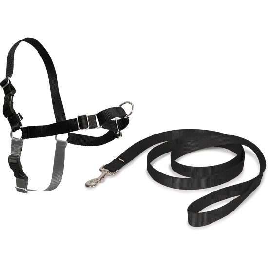 PetSafe, Easy Walk Headcollar, Black, Large, No Pull, Control, Training, for small / medium/ large dogs PetSafe, Easy Walk Headcollar, Black, Large, No Pull, Control, Training, for small / medium/ large dogs