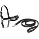PetSafe, Easy Walk Headcollar, Black, Large, No Pull, Control, Training, for small / medium/ large dogs PetSafe, Easy Walk Headcollar, Black, Large, No Pull, Control, Training, for small / medium/ large dogs