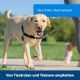 PetSafe, Easy Walk Headcollar, Black, Large, No Pull, Control, Training, for small / medium/ large dogs PetSafe, Easy Walk Headcollar, Black, Large, No Pull, Control, Training, for small / medium/ large dogs