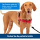 PetSafe, Easy Walk Headcollar, Black, Large, No Pull, Control, Training, for small / medium/ large dogs PetSafe, Easy Walk Headcollar, Black, Large, No Pull, Control, Training, for small / medium/ large dogs