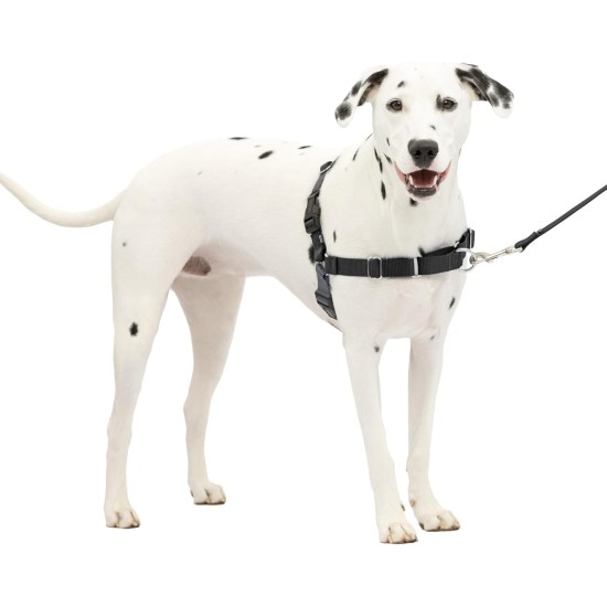 PetSafe Easy Walk No Pull Dog Harness, Perfect for Leash and Harness Training, Prevents Pets From Pulling and Choking During Walks - Medium/Large, Charcoal/Black PetSafe Easy Walk No Pull Dog Harness, Perfect for Leash and Harness Training, Prevents Pets From Pulling and Choking During Walks - Medium/Large, Charcoal/Black