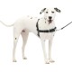 PetSafe Easy Walk No Pull Dog Harness, Perfect for Leash and Harness Training, Prevents Pets From Pulling and Choking During Walks - Medium/Large, Charcoal/Black PetSafe Easy Walk No Pull Dog Harness, Perfect for Leash and Harness Training, Prevents Pets From Pulling and Choking During Walks - Medium/Large, Charcoal/Black