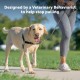 PetSafe Easy Walk No Pull Dog Harness, Perfect for Leash and Harness Training, Prevents Pets From Pulling and Choking During Walks - Medium/Large, Charcoal/Black PetSafe Easy Walk No Pull Dog Harness, Perfect for Leash and Harness Training, Prevents Pets From Pulling and Choking During Walks - Medium/Large, Charcoal/Black