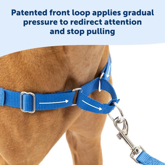 PetSafe Easy Walk No Pull Dog Harness, Perfect for Leash and Harness Training, Prevents Pets From Pulling and Choking During Walks - Medium/Large, Charcoal/Black PetSafe Easy Walk No Pull Dog Harness, Perfect for Leash and Harness Training, Prevents Pets From Pulling and Choking During Walks - Medium/Large, Charcoal/Black