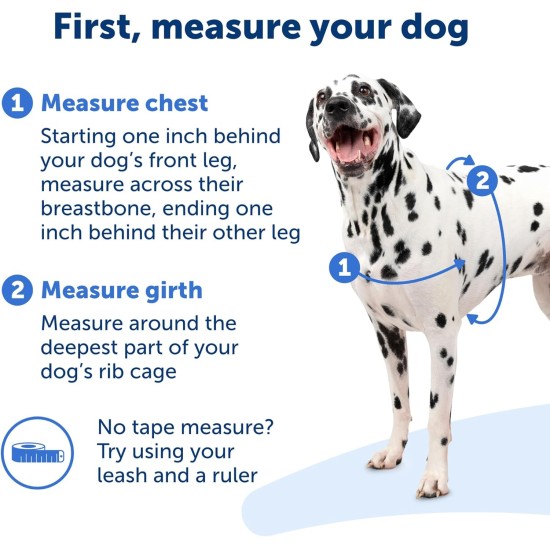 PetSafe Easy Walk No Pull Dog Harness, Perfect for Leash and Harness Training, Prevents Pets From Pulling and Choking During Walks - Medium/Large, Charcoal/Black PetSafe Easy Walk No Pull Dog Harness, Perfect for Leash and Harness Training, Prevents Pets From Pulling and Choking During Walks - Medium/Large, Charcoal/Black