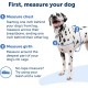 PetSafe Easy Walk No Pull Dog Harness, Perfect for Leash and Harness Training, Prevents Pets From Pulling and Choking During Walks - Medium/Large, Charcoal/Black PetSafe Easy Walk No Pull Dog Harness, Perfect for Leash and Harness Training, Prevents Pets From Pulling and Choking During Walks - Medium/Large, Charcoal/Black