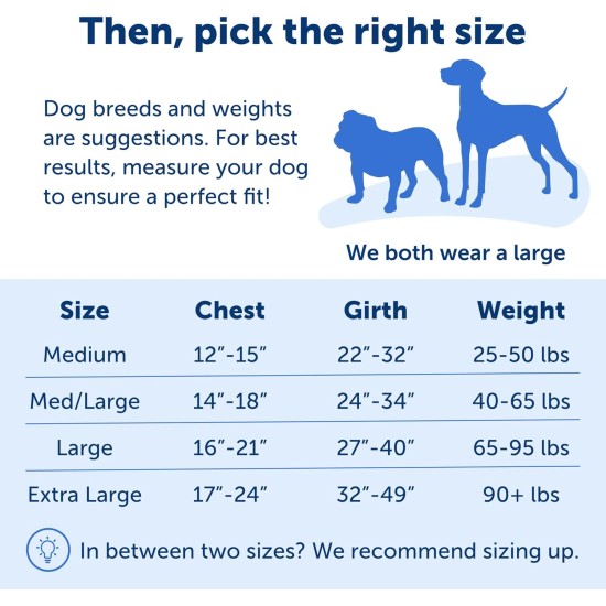 PetSafe Easy Walk No Pull Dog Harness, Perfect for Leash and Harness Training, Prevents Pets From Pulling and Choking During Walks - Medium/Large, Charcoal/Black PetSafe Easy Walk No Pull Dog Harness, Perfect for Leash and Harness Training, Prevents Pets From Pulling and Choking During Walks - Medium/Large, Charcoal/Black