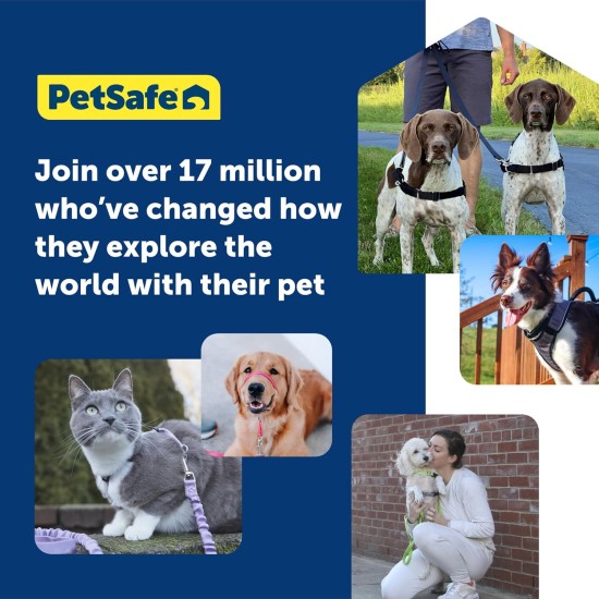 PetSafe Easy Walk No Pull Dog Harness, Perfect for Leash and Harness Training, Prevents Pets From Pulling and Choking During Walks - Medium/Large, Charcoal/Black PetSafe Easy Walk No Pull Dog Harness, Perfect for Leash and Harness Training, Prevents Pets From Pulling and Choking During Walks - Medium/Large, Charcoal/Black