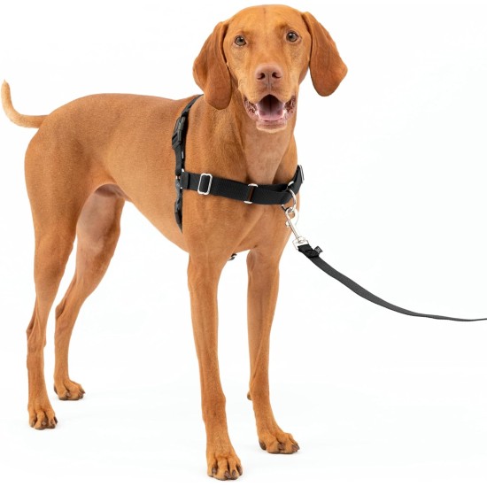 PetSafe Easy Walk No Pull Dog Harness, Perfect for Leash and Harness Training, Prevents Pets From Pulling and Choking During Walks - Medium/Large, Charcoal/Black PetSafe Easy Walk No Pull Dog Harness, Perfect for Leash and Harness Training, Prevents Pets From Pulling and Choking During Walks - Medium/Large, Charcoal/Black