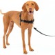 PetSafe Easy Walk No Pull Dog Harness, Perfect for Leash and Harness Training, Prevents Pets From Pulling and Choking During Walks - Medium/Large, Charcoal/Black PetSafe Easy Walk No Pull Dog Harness, Perfect for Leash and Harness Training, Prevents Pets From Pulling and Choking During Walks - Medium/Large, Charcoal/Black