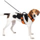 PetSafe EasySport Dog Harness, Adjustable Padded Dog Harness with Control Handle and Reflective Piping, by The Makers of The Easy Walk Harness, Orange, Large PetSafe EasySport Dog Harness, Adjustable Padded Dog Harness with Control Handle and Reflective Piping, by The Makers of The Easy Walk Harness, Orange, Large