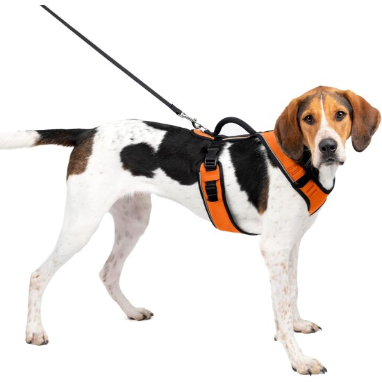 PetSafe EasySport Dog Harness, Adjustable Padded Dog Harness with Control Handle and Reflective Piping, by The Makers of The Easy Walk Harness, Orange, Large PetSafe EasySport Dog Harness, Adjustable Padded Dog Harness with Control Handle and Reflective Piping, by The Makers of The Easy Walk Harness, Orange, Large