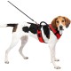PetSafe EasySport Harness, Large, Red PetSafe EasySport Harness, Large, Red