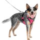 PetSafe Easysport Harness, Medium, Pink