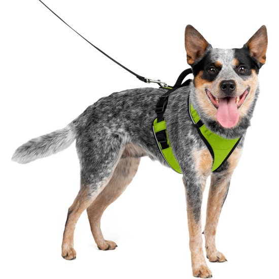 PetSafe Easysport Harness, Medium, Pink PetSafe Easysport Harness, Medium, Pink