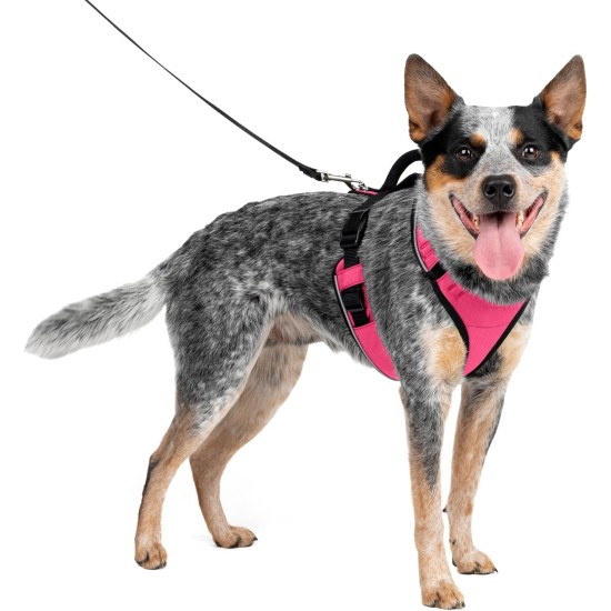 PetSafe Easysport Harness, Medium, Pink