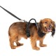 PetSafe Easysport Harness, Medium, Pink