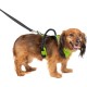 PetSafe Easysport Harness, X-Small, Pink