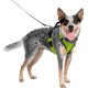 PetSafe Easysport Harness, X-Small, Pink