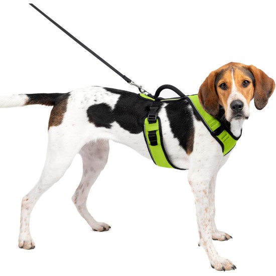 PetSafe Easysport Harness, X-Small, Red PetSafe Easysport Harness, X-Small, Red