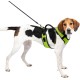 PetSafe Easysport Harness, X-Small, Red PetSafe Easysport Harness, X-Small, Red