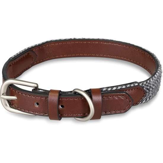 Petface Outdoor Paws Neoprene Padded Dog Collar, Large, Large Petface Outdoor Paws Neoprene Padded Dog Collar, Large, Large